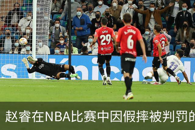 赵睿在NBA比赛中因假摔被判罚的事件分析